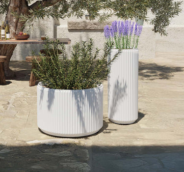 RUNDER BLUMENTOPF MARANTA 30 x 70
