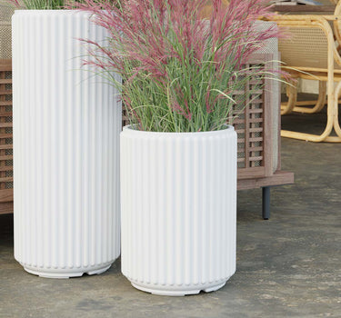 RUNDER BLUMENTOPF MARANTA 30 x 40