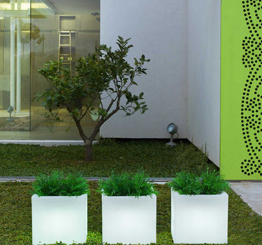 QUADRATISCHE PFLANZE MIT LICHT NARCISO 40
