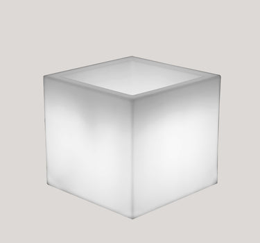 QUADRATISCHE PFLANZE MIT LICHT NARCISO 40