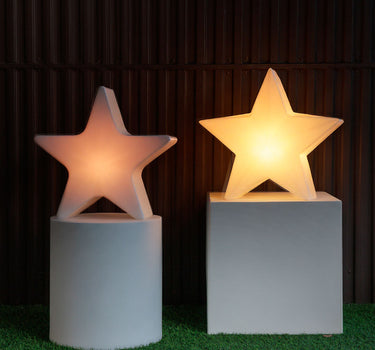 WEIHNACHTSSTERN Nova 45