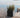 QUADRATISCHE PFLANZE NARCISO 40 FARBE