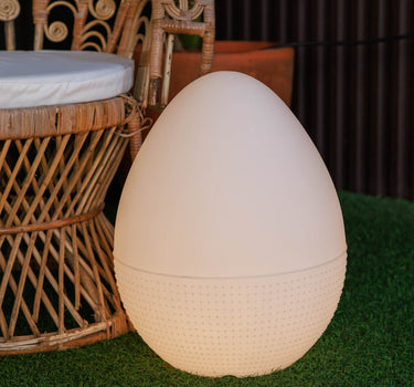 EIFÖRMIGE LAMPE OVO