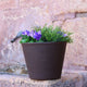 RUNDER BLUMENTOPF PETUNIA FARBE