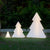 Weihnachtsbaum Pinus 100 Baum
