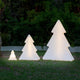 Weihnachtsbaum Pinus 100 Baum