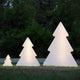 Weihnachtsbaum Pinus 40 Baum