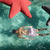 Schwimmender Stern Starfish