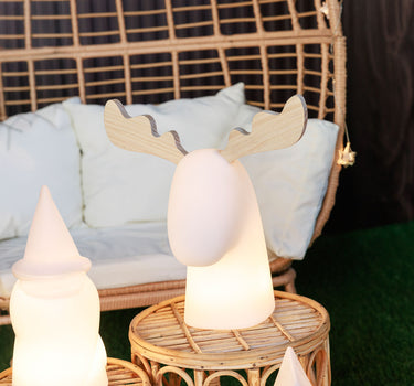 Beleuchtetes Rentier Rudy