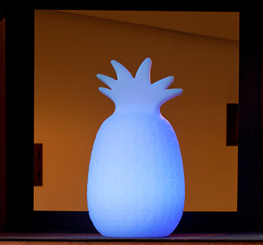 Ananas Samba 40 Lampe