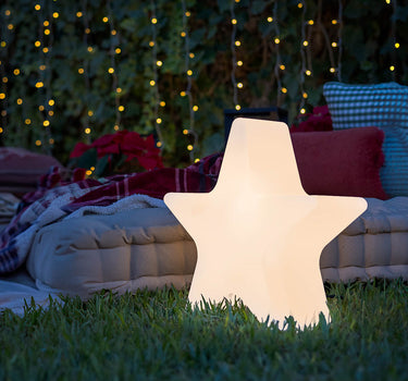 WEIHNACHTSSTERN STANIS 40