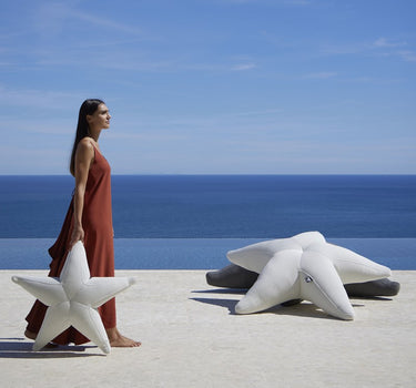 Schwimmender Stern Starfish