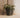 QUADRATISCHER TOPF CALENDULA 50 RUSTIC FARBE