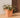 QUADRATISCHER TOPF CALENDULA 50 RUSTIC FARBE