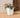 QUADRATISCHER TOPF CALENDULA 50 RUSTIC FARBE