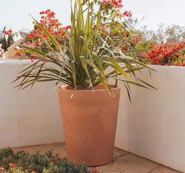 RUNDBLUMENTOPF GERBERA 50 RUSTIC