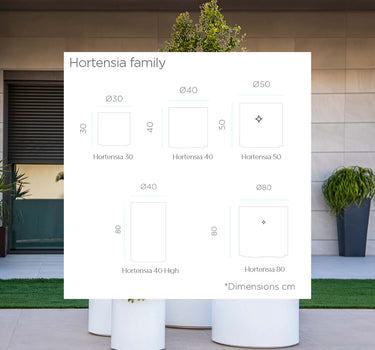 RUNDPFLANZE HORTENSIA 80 FARBE