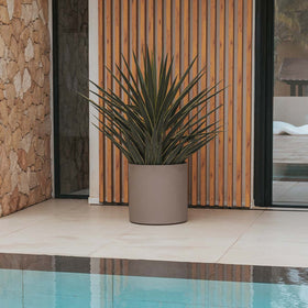 RUNDE PFLANZEN HORTENSIA 50