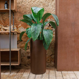 RUNDE PFLANZEN HORTENSIA 40 HIGH