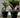 Großer Topf MAGNOLIA 120 CM FARBE
