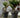 Großer Topf MAGNOLIA 120 CM FARBE