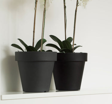 MAGNOLIA 30 SCHWARZ