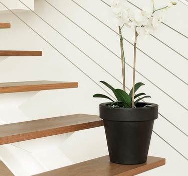 MAGNOLIA 30 SCHWARZ