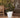 RUNDE BLUMENTOPF MAGNOLIA 45 CM FARBE