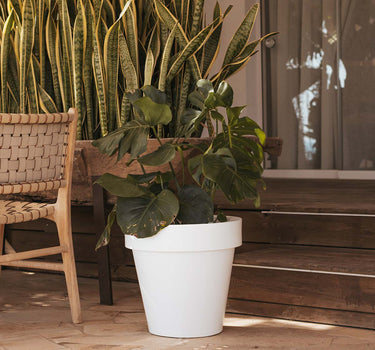 RUNDE BLUMENTOPF MAGNOLIA 45 CM FARBE