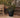 RUNDE BLUMENTOPF MAGNOLIA 45 CM FARBE