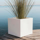 QUADRATISCHE PFLANZE NARCISO 50 FARBE