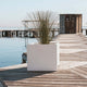 QUADRATISCHE PFLANZE NARCISO 50 FARBE
