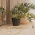 RUNDER BLUMENTOPF PETUNIA FARBE