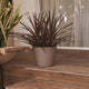 RUNDER BLUMENTOPF PETUNIA FARBE