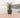 RUNDBLUMENTOPF ROSA 45 FARBE