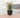 RUNDBLUMENTOPF ROSA 45 FARBE